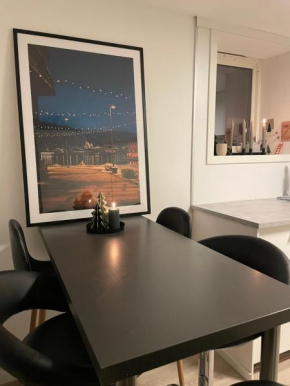 Tromso budget apartement